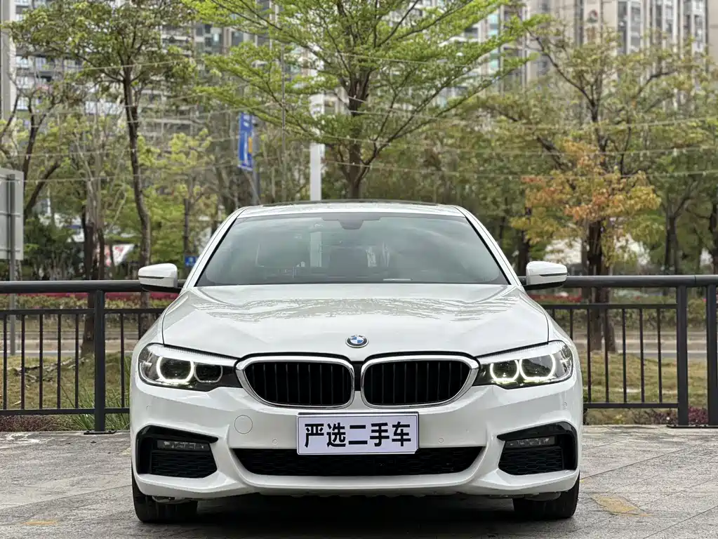 BMW 5 Series 2019 — фото 2