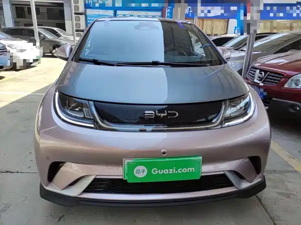 BYD Dolphin 2024
