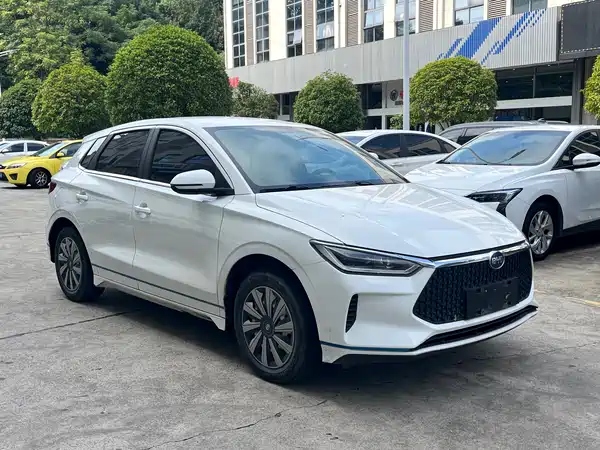BYD e2 2019
