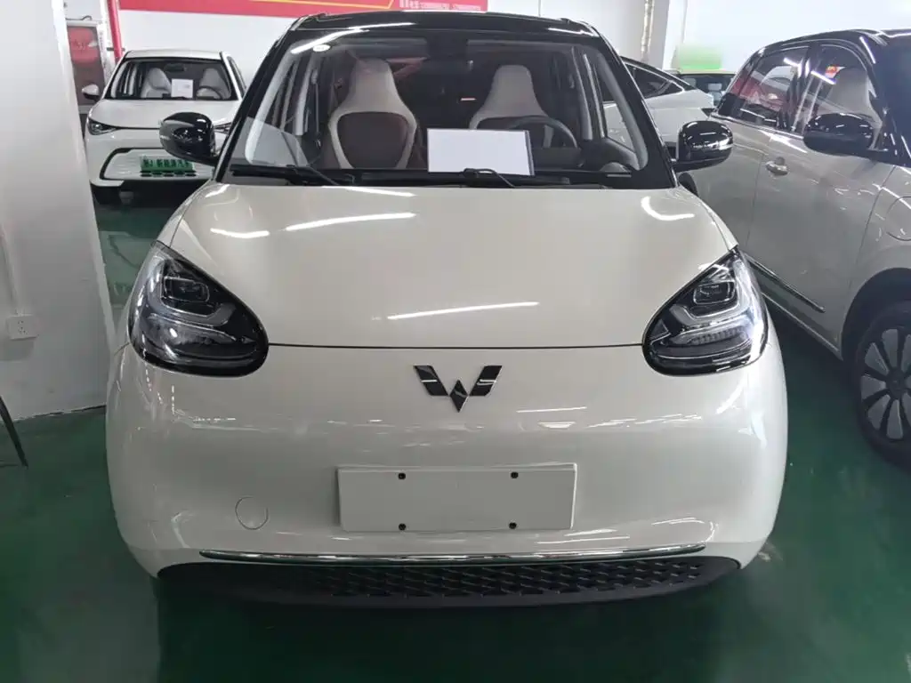 Wuling Bingo 2024