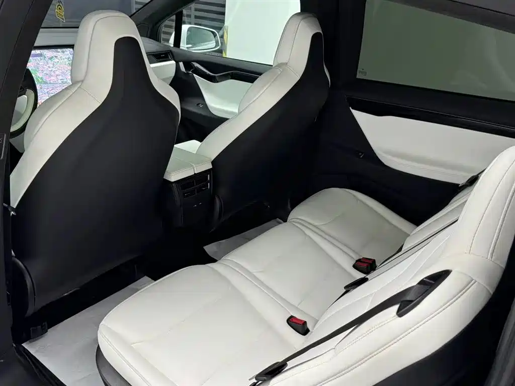 Tesla Model X 2019 — фото 9