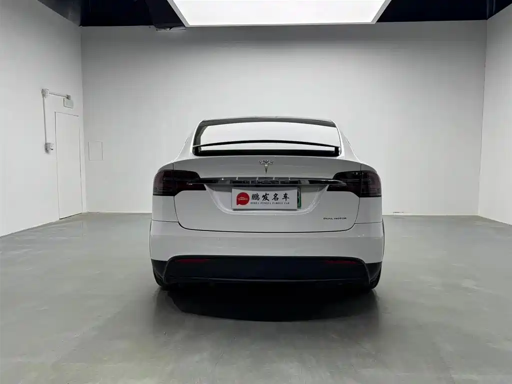 Tesla Model X 2019 — фото 13