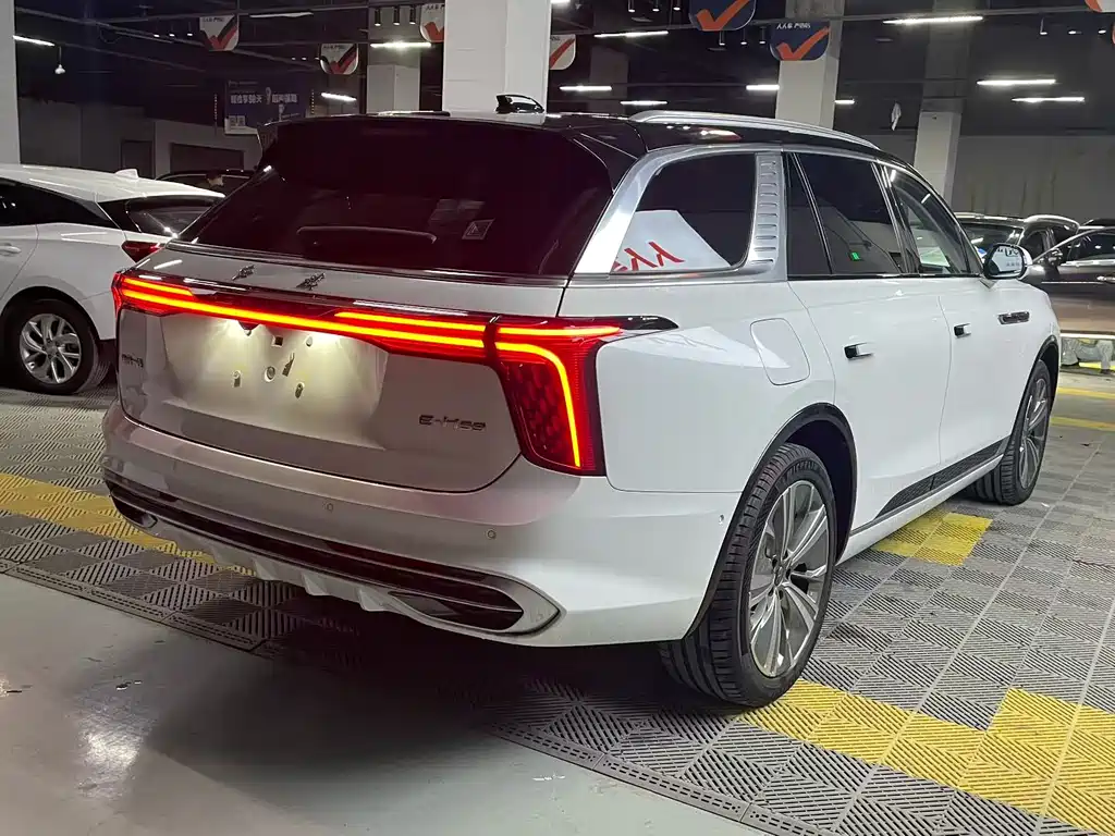Hongqi E-HS9 2021