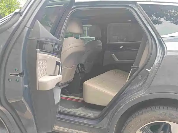 BYD Tang New Energy 2024