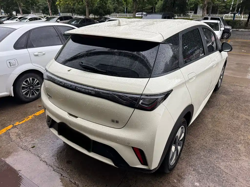 BYD Dolphin 2026