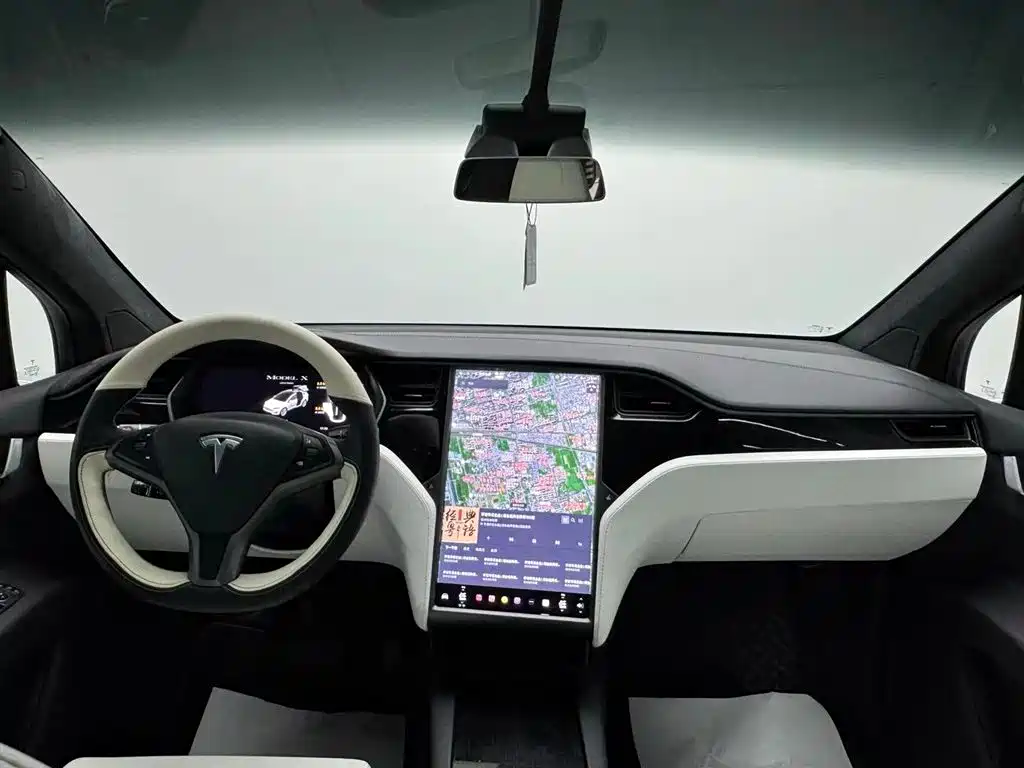 Tesla Model X 2019 — фото 8