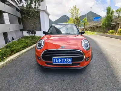 MINI MINI 2020