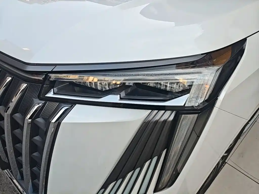 GAC Trumpchi M8 2024 — фото 24