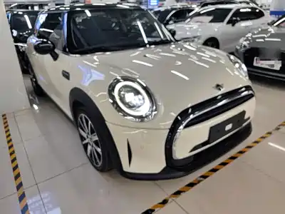 MINI MINI 2021