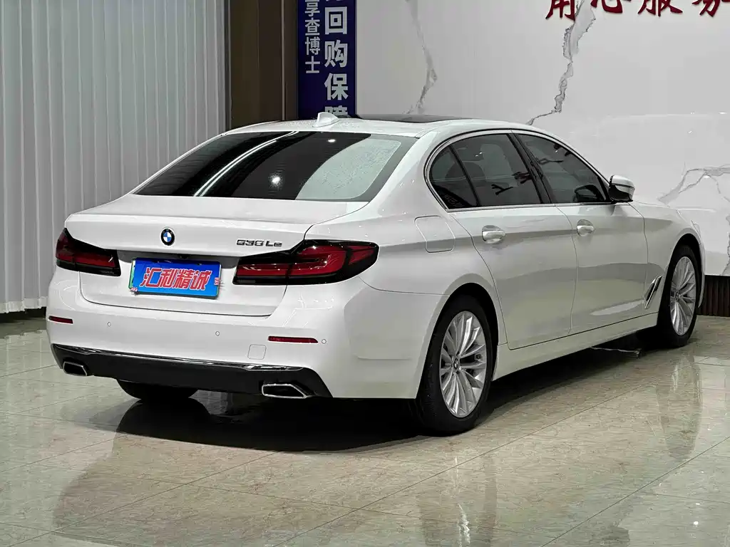 BMW 5 Series New Energy 2021 — фото 6