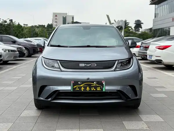 BYD Dolphin 2021