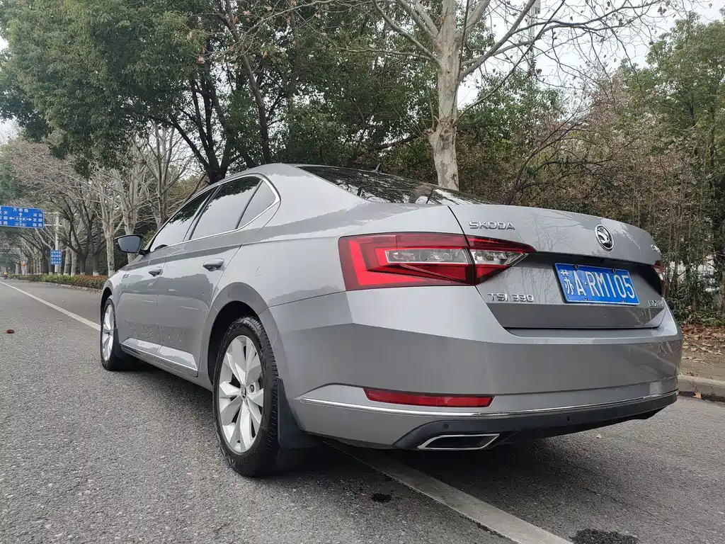 Skoda Speedy 2019
