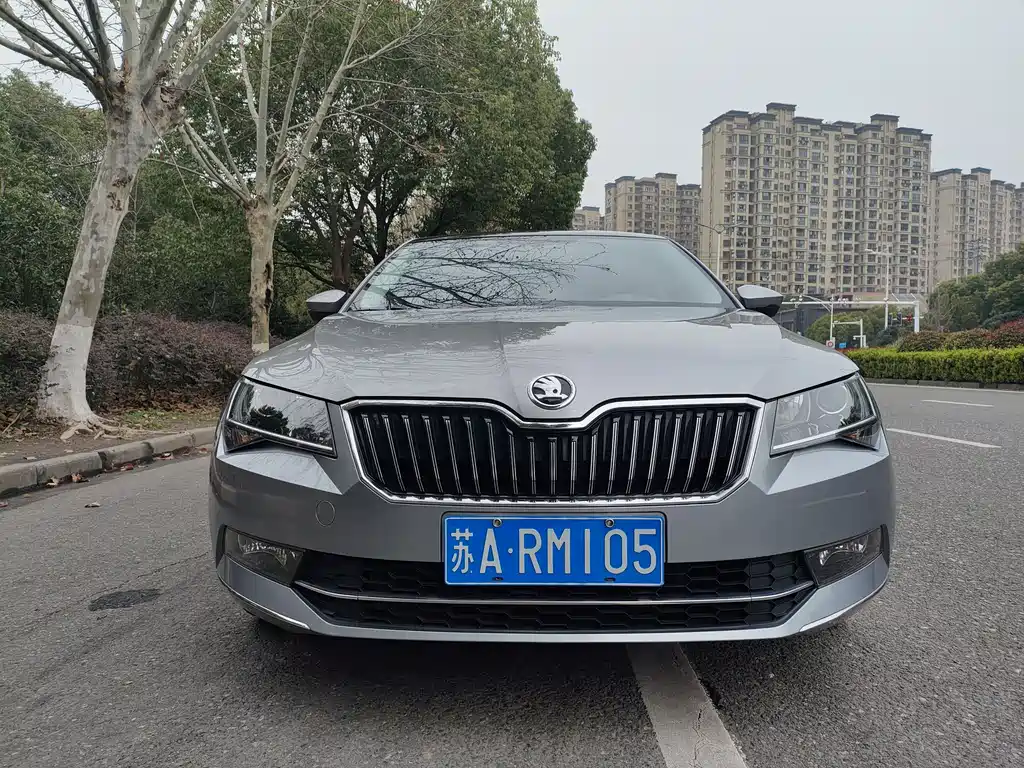 Skoda Speedy 2019