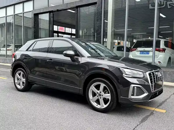 Audi Q2L 2022