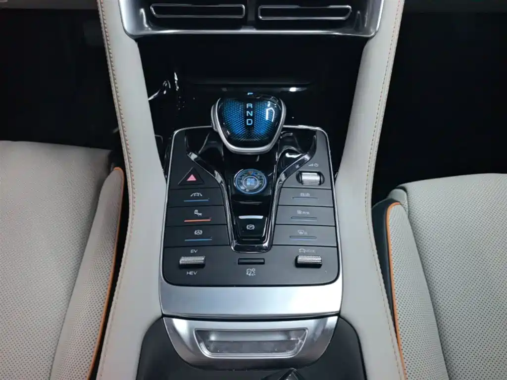 BYD PLUS New Energy 2023 — фото 14