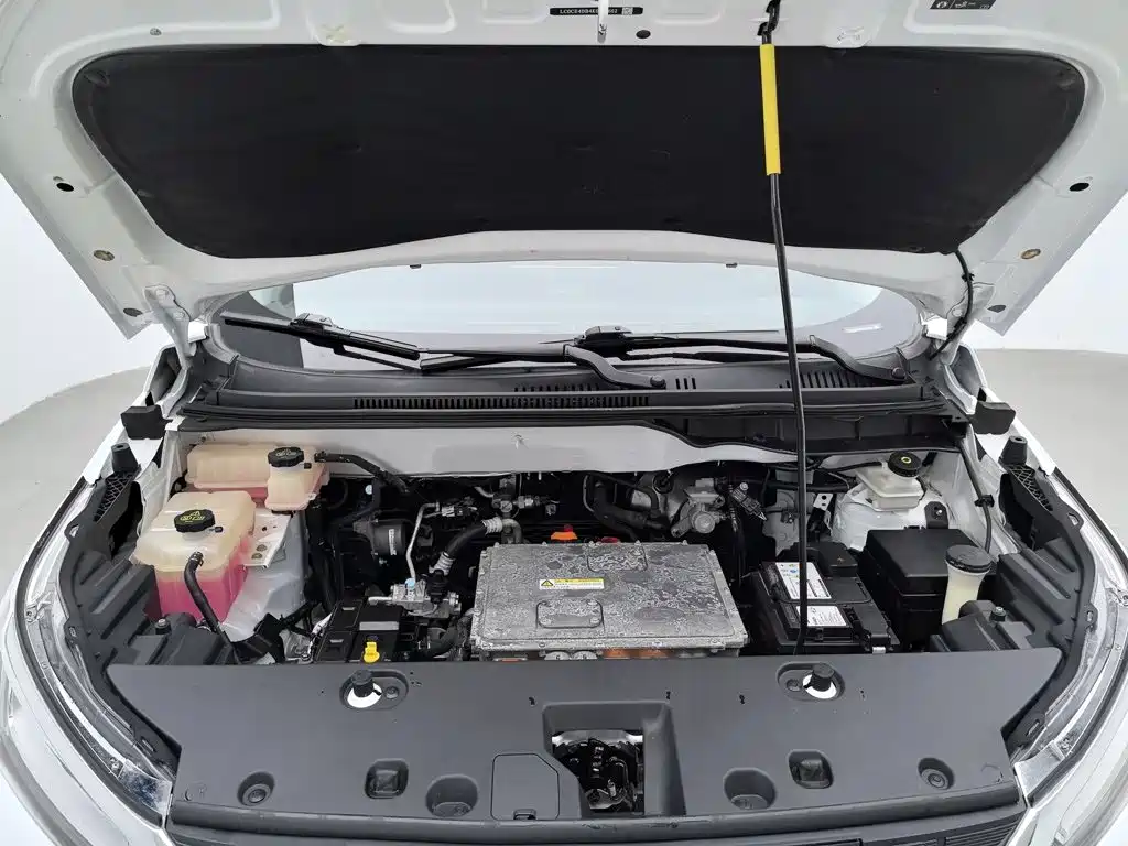 BYD Yuan New Energy 2019