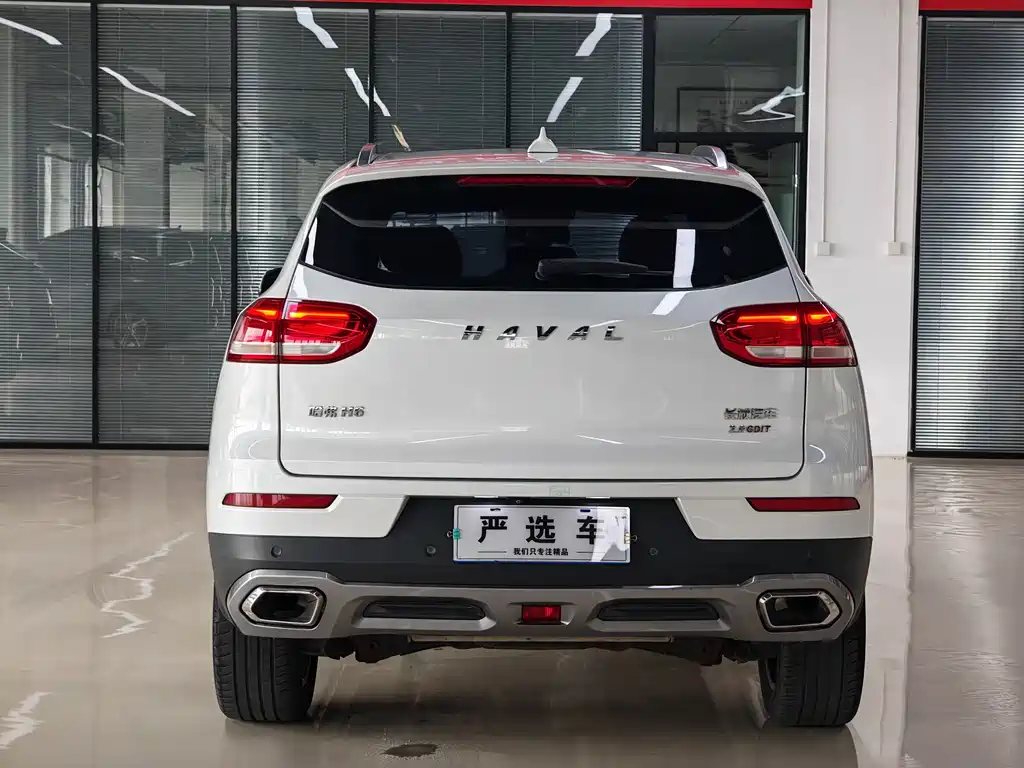 Haval H6 2017 — фото 8
