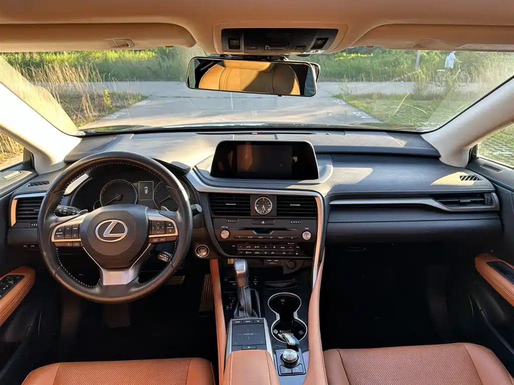 Lexus RX 2020 — фото 11
