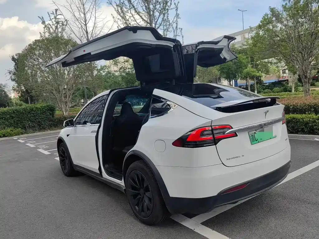 Tesla Model X 2018 — фото 9