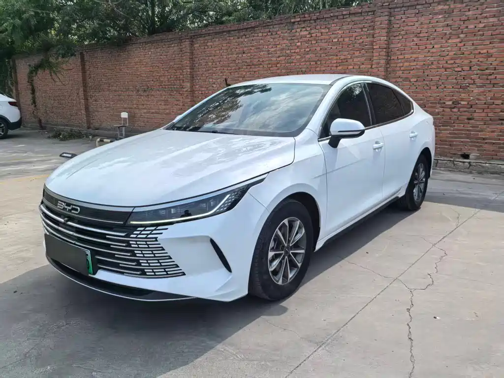 BYD Destroyer 05 2024