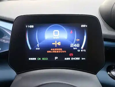 BYD Dolphin 2022