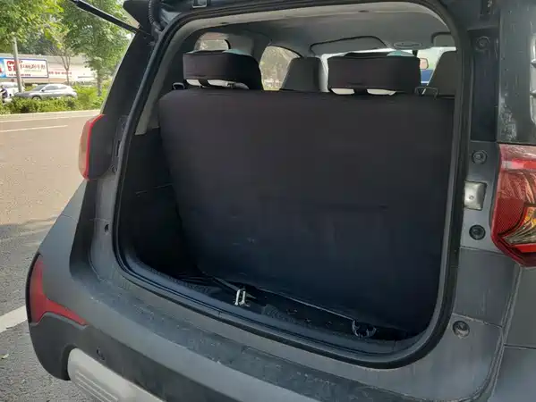 Chery eQ1 2021