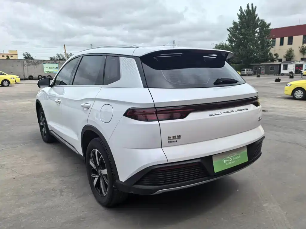 BYD Pro New Energy 2024 — фото 10