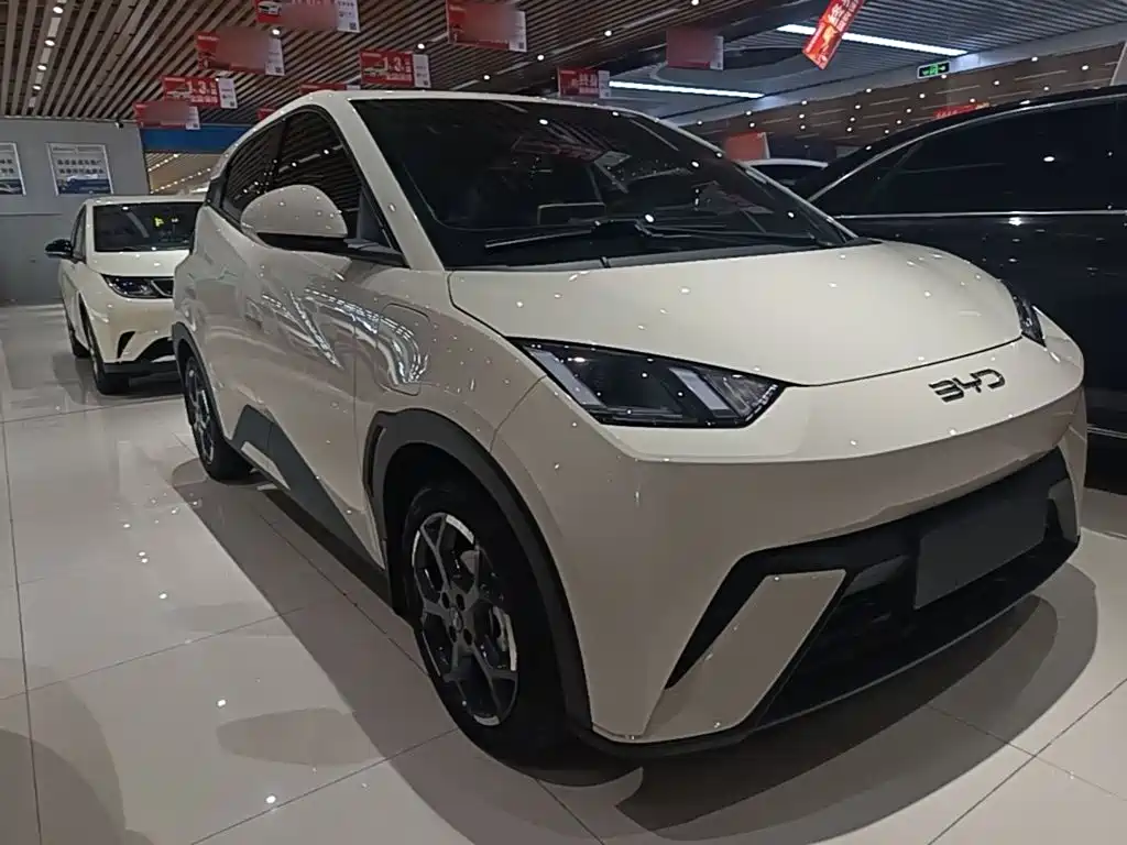 BYD Seagull 2024