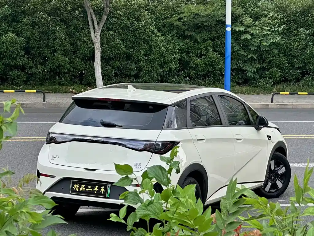 BYD Dolphin 2025