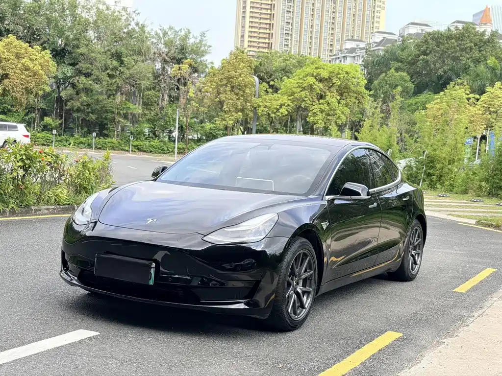 Tesla Model 3 2020 — фото 1