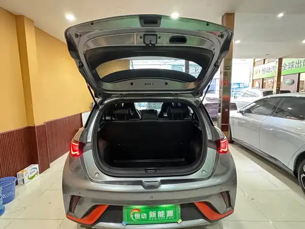 BYD Dolphin 2022