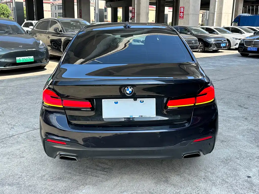 BMW 5 Series 2019