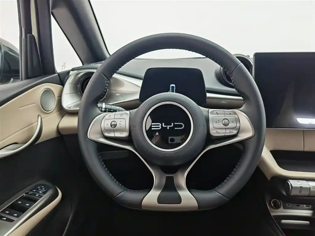 BYD Dolphin 2025 — фото 11