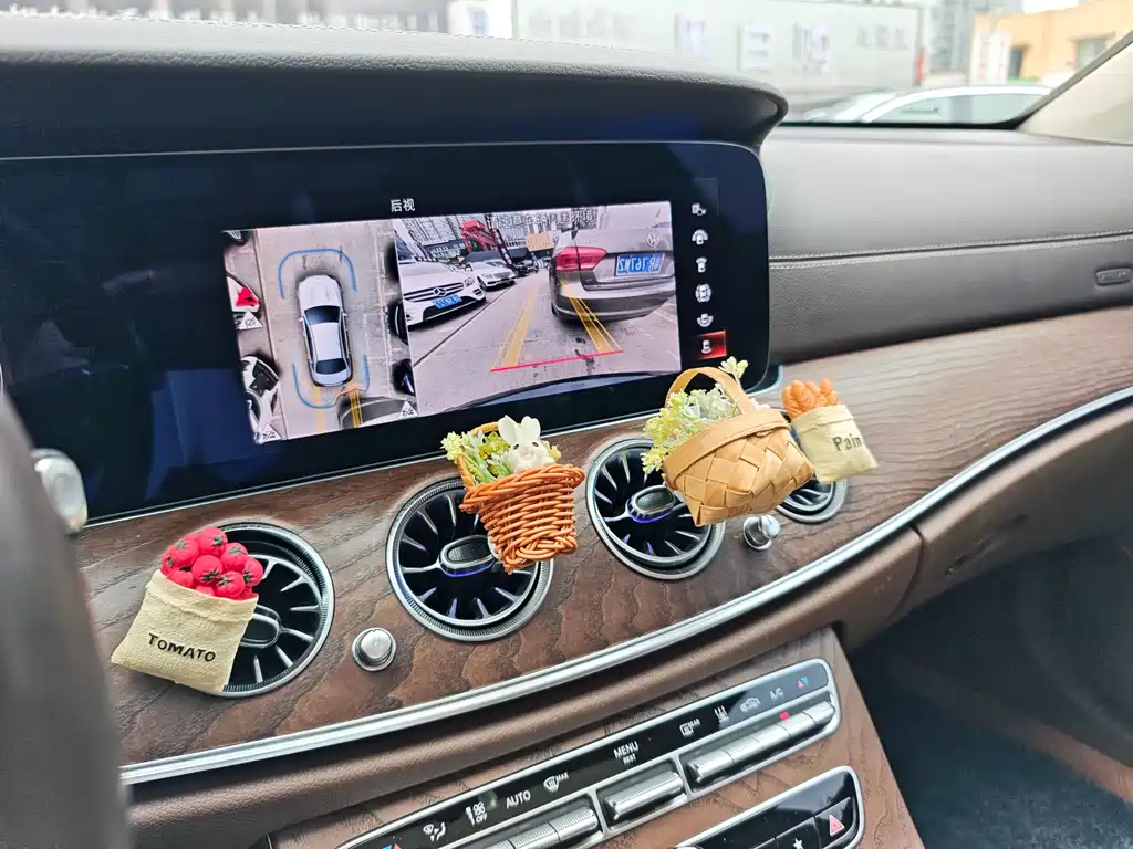 Mercedes-Benz E-Class New Energy 2021 — фото 5