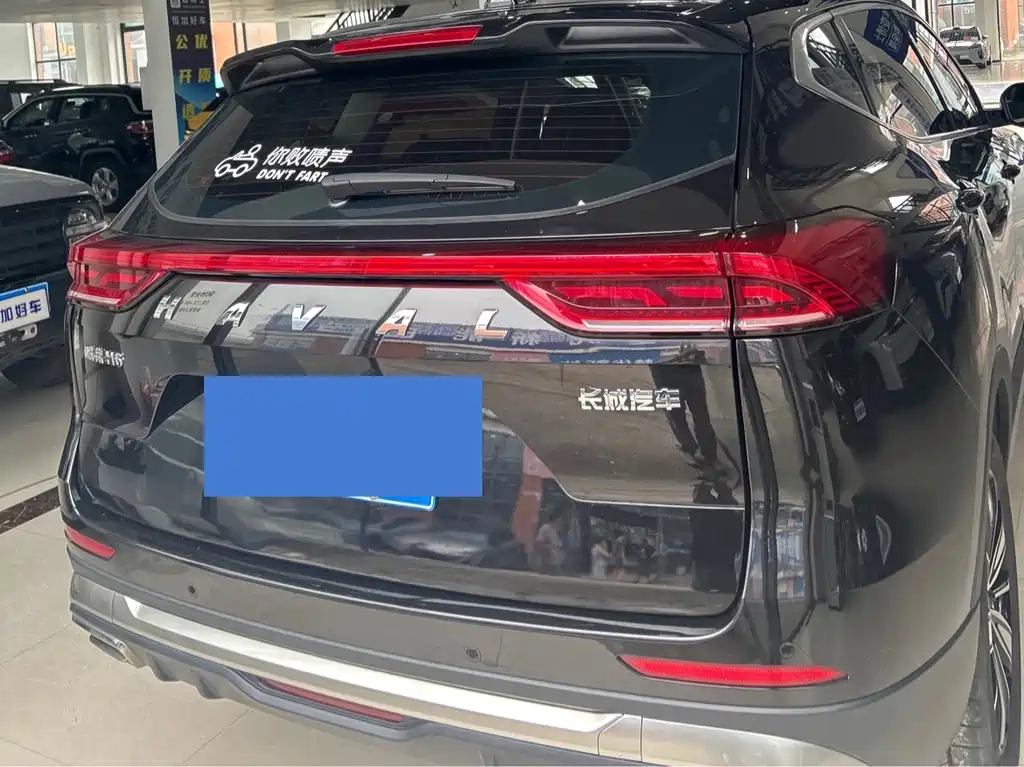 Haval H6 2024 — фото 14