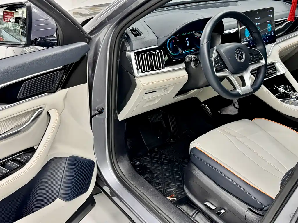 BYD PLUS New Energy 2023 — фото 10