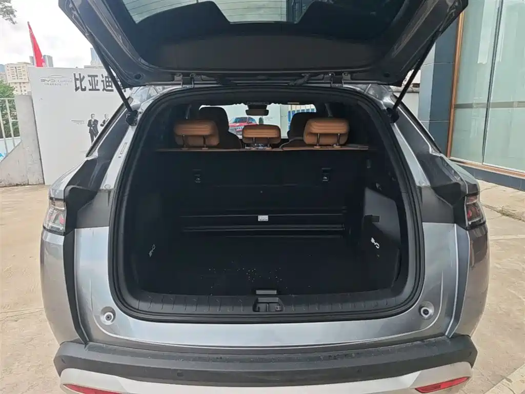 BYD L DM-i 2025 — фото 19