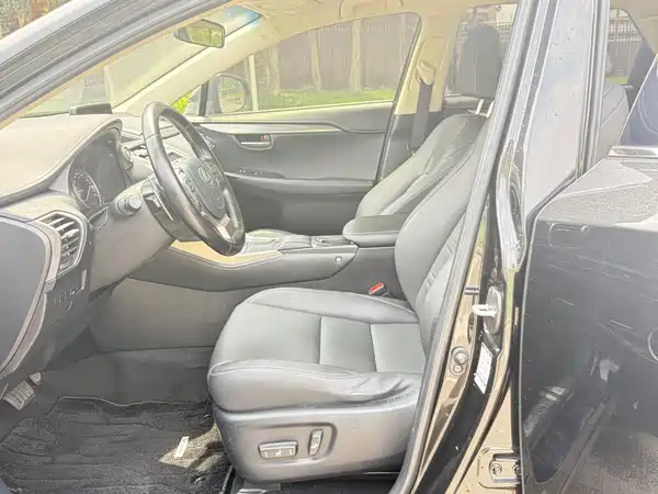 Lexus NX 2020
