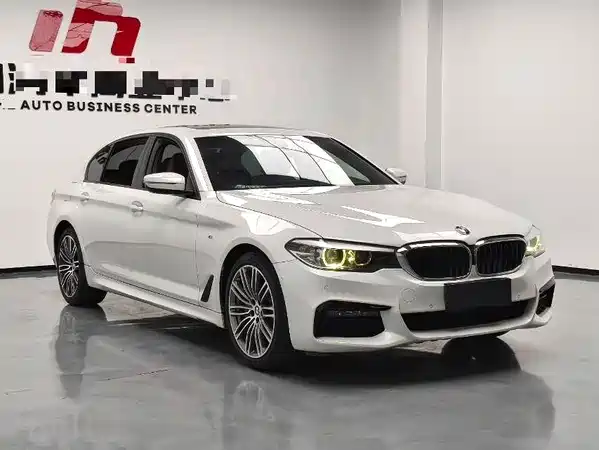 BMW 5 Series 2019