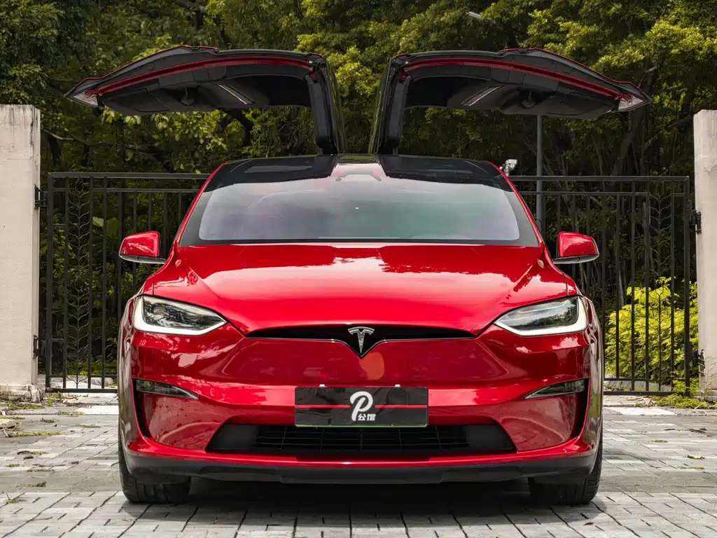 Tesla Model X 2023 — фото 2