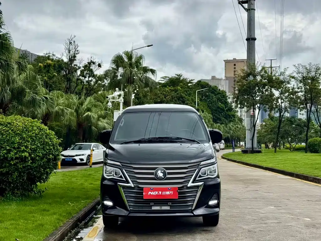 Dongfeng Lingzhi 2024