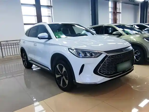 BYD PLUS New Energy 2021 — фото 9