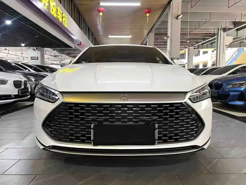 BYD Qin PLUS 2024 — фото 2