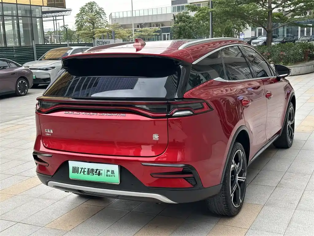 BYD Tang New Energy 2021 — фото 23