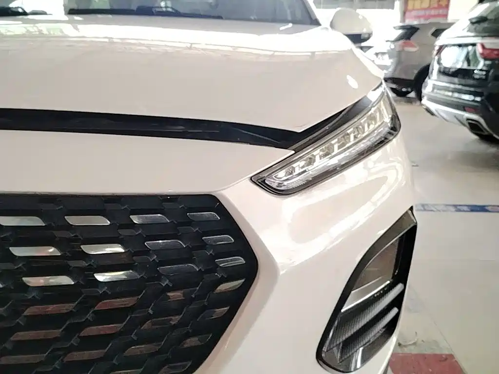 Chery Tiggo 3x 2021 — фото 18