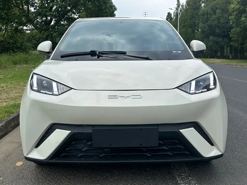 BYD Seagull 2024