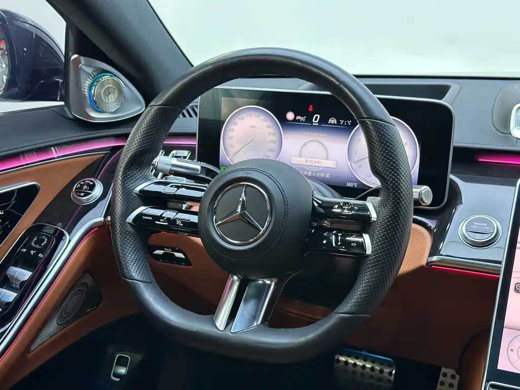 Mercedes-Benz S-Class 2021 — фото 17