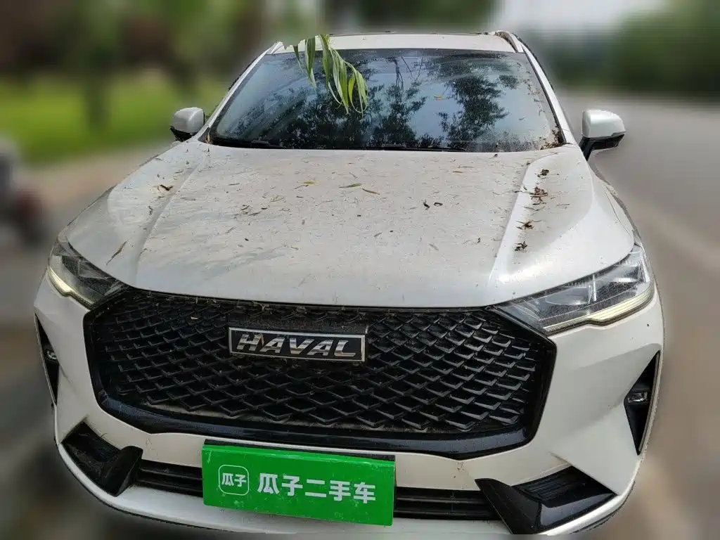Haval H6 2023 — фото 24