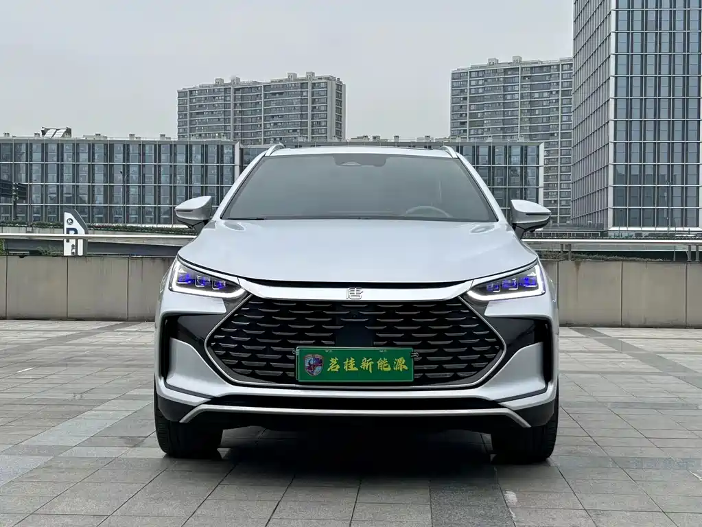 BYD Tang New Energy 2024 — фото 2
