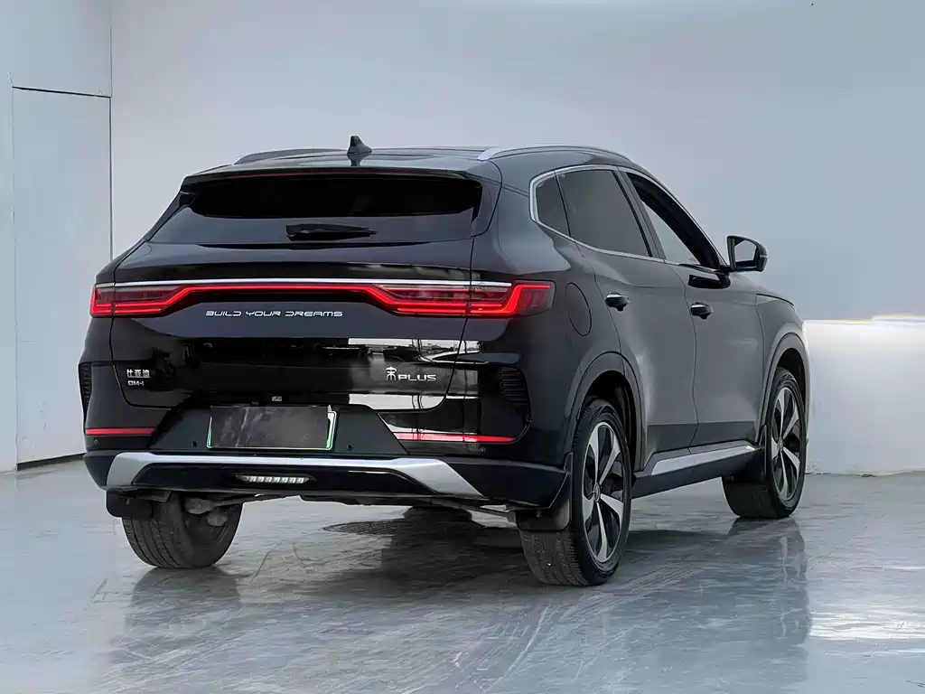 BYD PLUS New Energy 2023 — фото 4